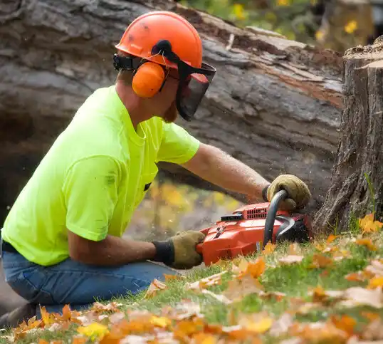 tree services Port Sanilac